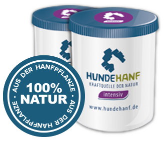 hundehanf dose